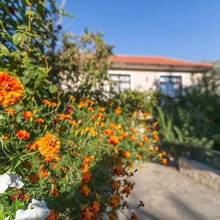 Bodamya Bag Evi Islamlar (Mediterranean)